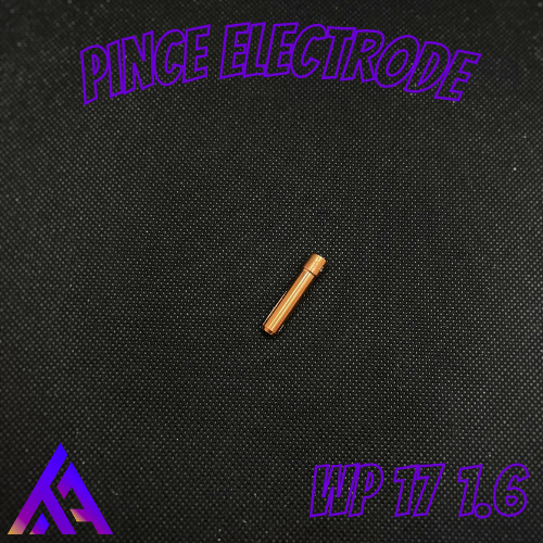 Pinces électrodes (WP17)